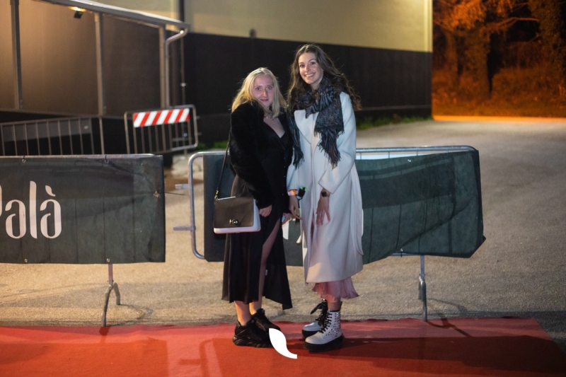 zPala-6-di-167