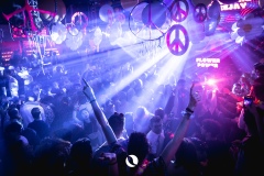 30.04 - Flower Power