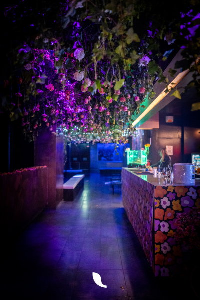FlowerPala-1