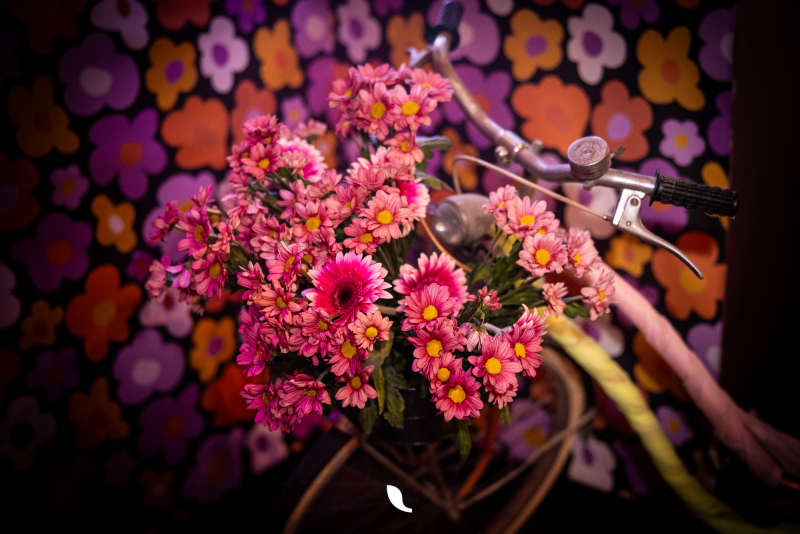 FlowerPala-7