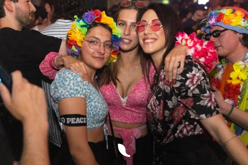 Pala-138-di-243
