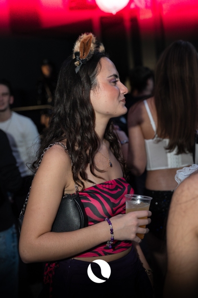 DSC06088